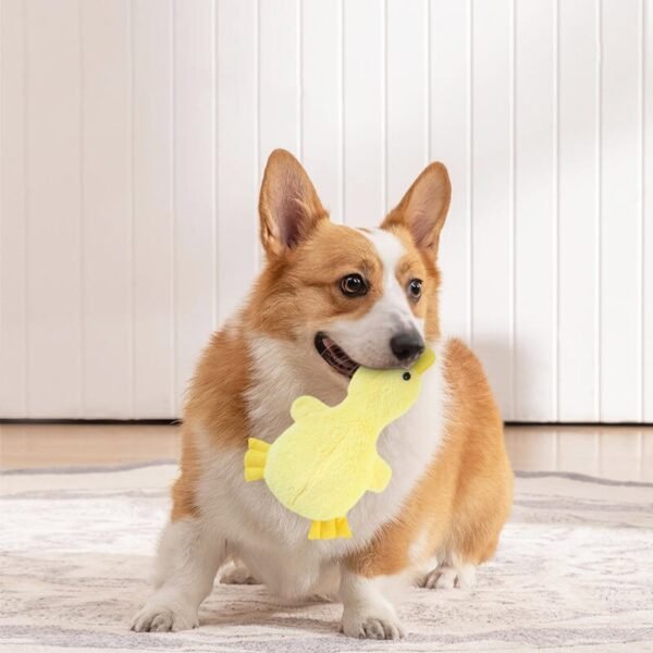 Cute Duck Plush Toy With Squeaker Dog Chew Toy - Image 4