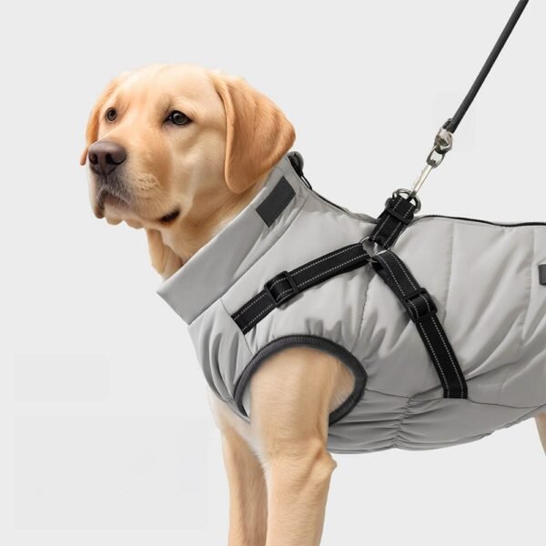 Adjustable Waterproof Warm Outdoor Dog Harness Jacket - Image 2
