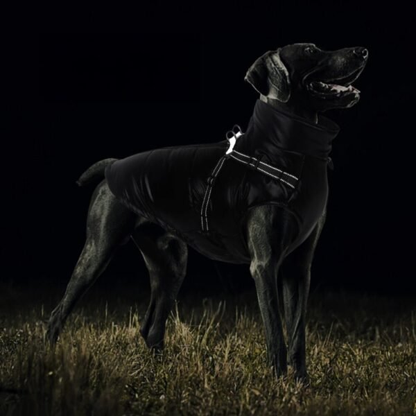 Chic Reflective Waterproof Safety Adjustable Fit Warm Dog Jacket - Image 3