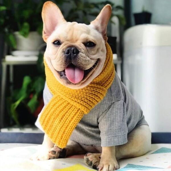 Cozy Knit Soft Warm Adjustable Fit Dog Scarf - Image 5