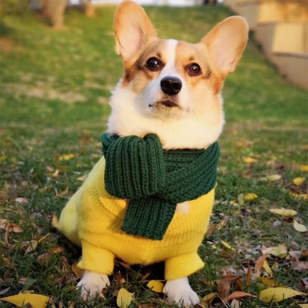 Cozy Knit Soft Warm Adjustable Fit Dog Scarf - Image 4