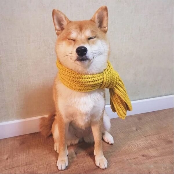 Cozy Knit Soft Warm Adjustable Fit Dog Scarf - Image 6