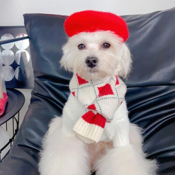 Cozy Red Argyle Knit Acrylic Adjustable Fit Dog Scarf - Image 5