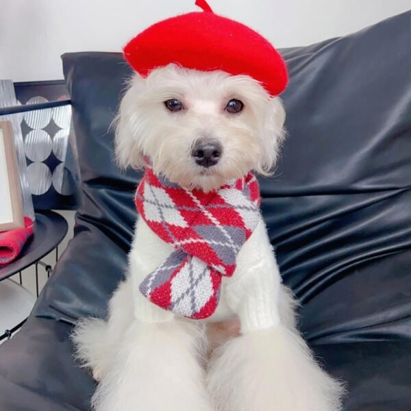 Cozy Red Argyle Knit Acrylic Adjustable Fit Dog Scarf - Image 6