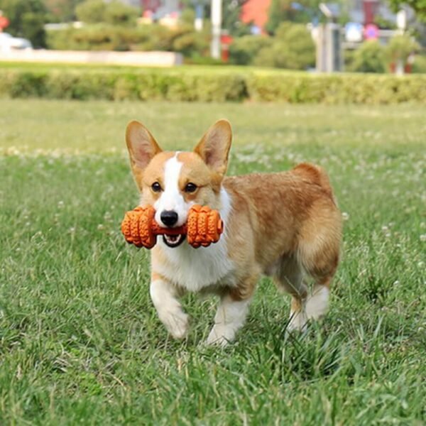 Dumbbell Silicone Slow Feeder Durable Interactive Dog Toy - Image 2