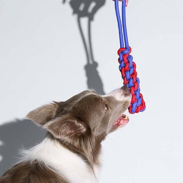 Dog Toy Gift Basket Set | Squeaky Chew Plush Treats Throw Interactive Toys - Image 9