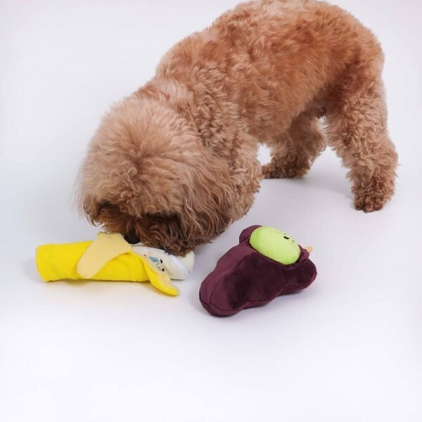 Dog Toy Gift Basket Set | Squeaky Chew Plush Treats Throw Interactive Toys - Image 4