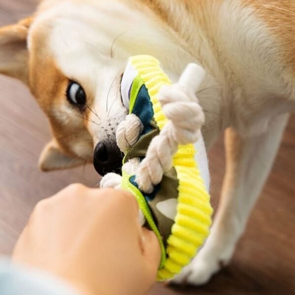 Cotton Rope Slipper Toy Dog Teething Toy - Image 4